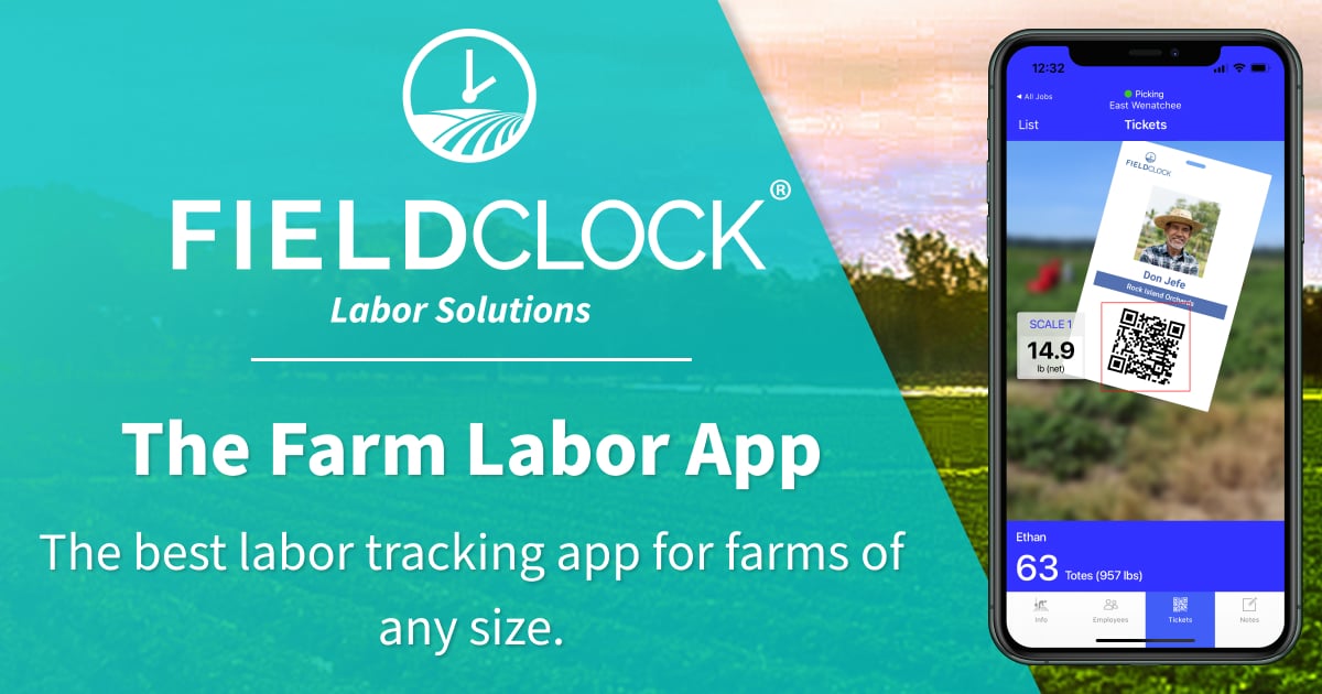 FieldClock