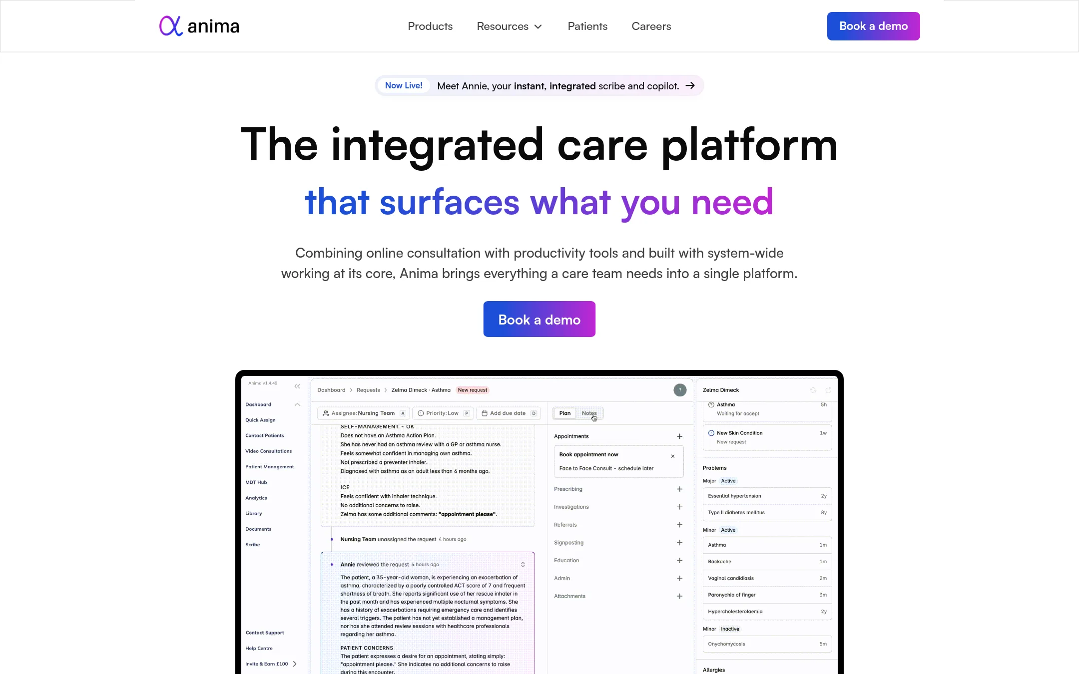 Anima homepage
