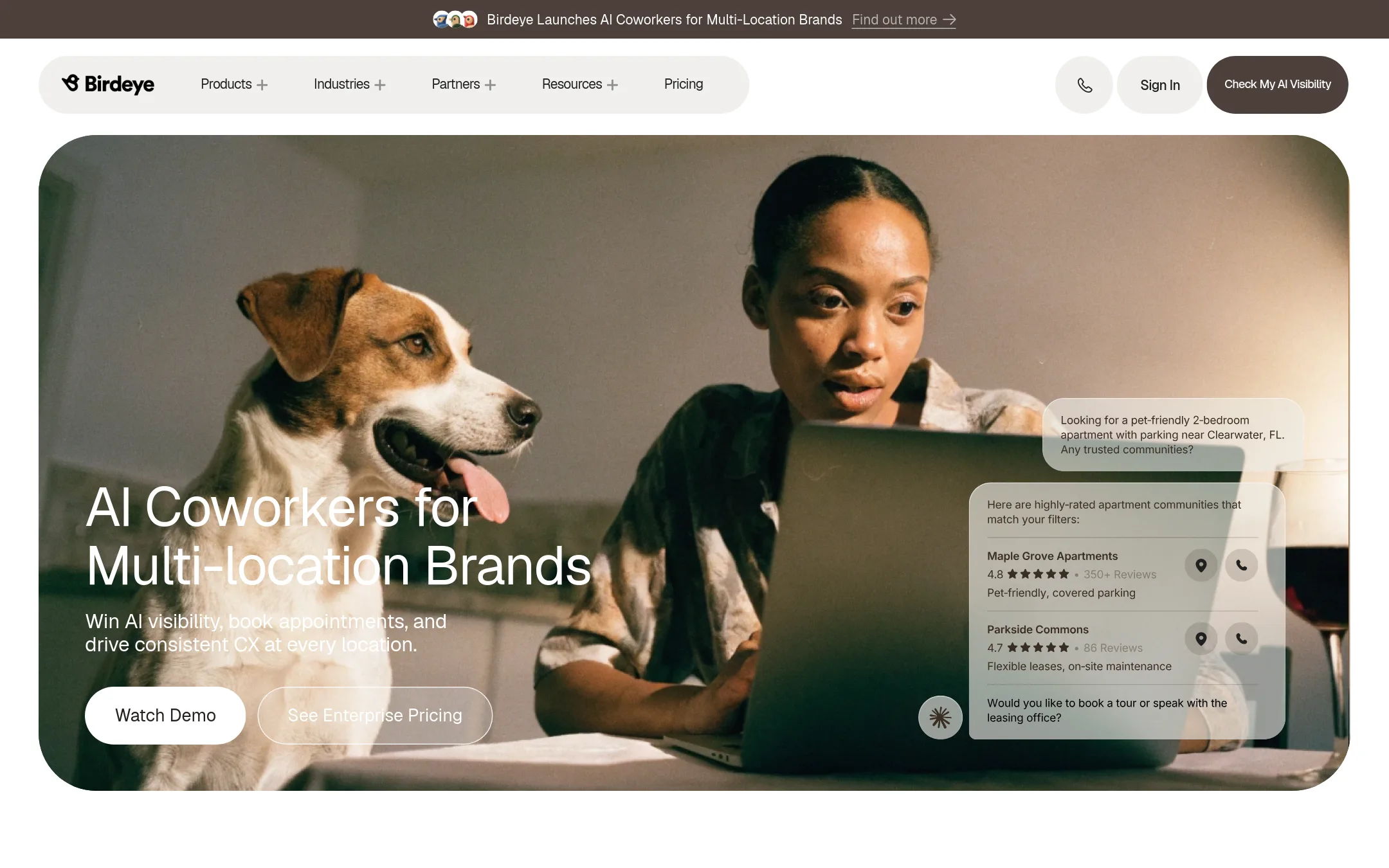 Birdeye homepage