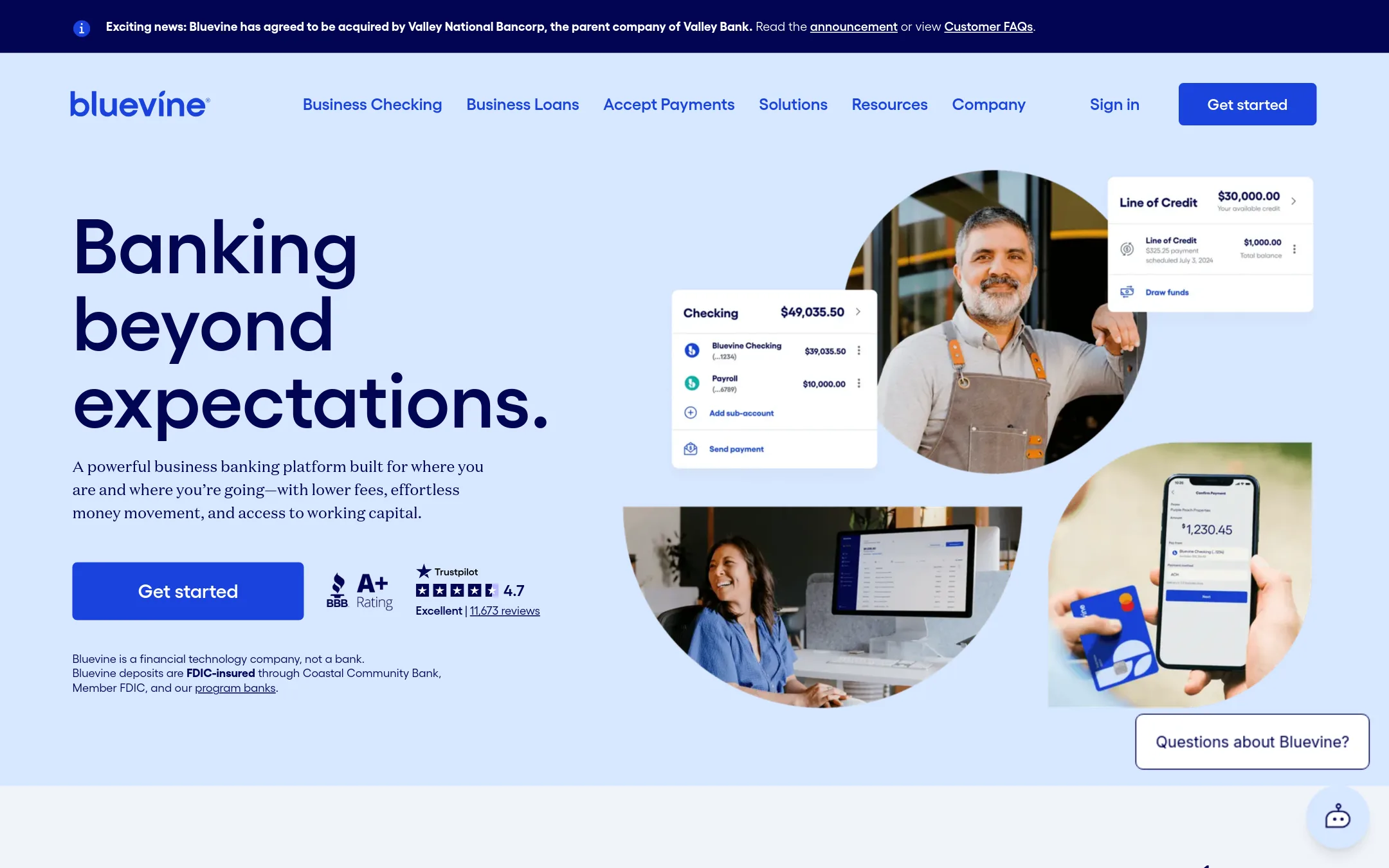 Bluevine homepage