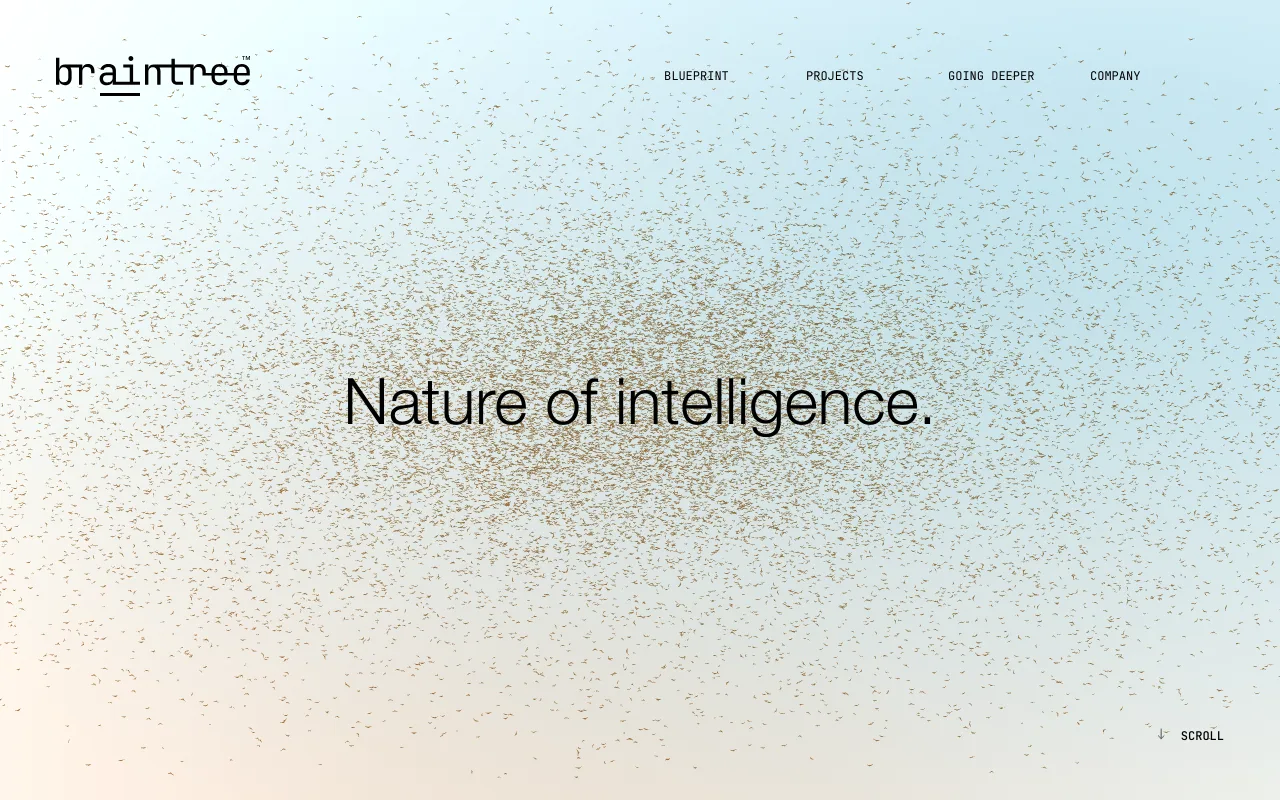 Braintree homepage