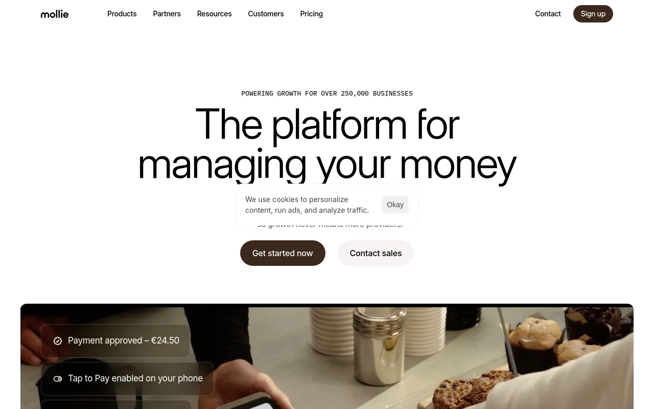 Mollie homepage
